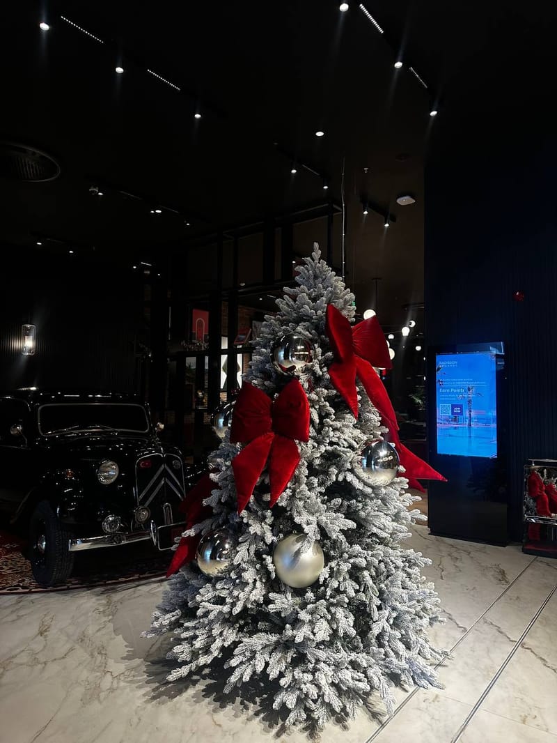 Гостиничные номера в Radisson Red с гарантированным доходом, Измир (001277) — фото 13