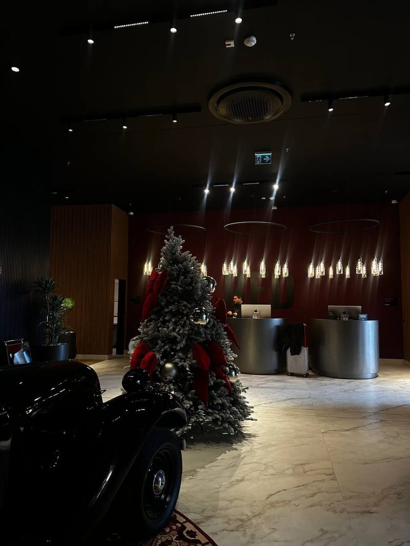 Гостиничные номера в Radisson Red с гарантированным доходом, Измир (001277) — фото 14